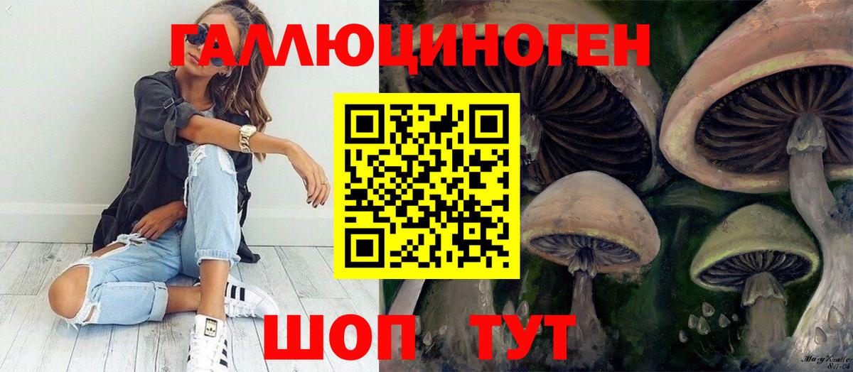 Гурьевск  Псилоцибиновые грибы прущие грибы  Вход с VPN  Псилоцибиновые грибы Psilocybe 