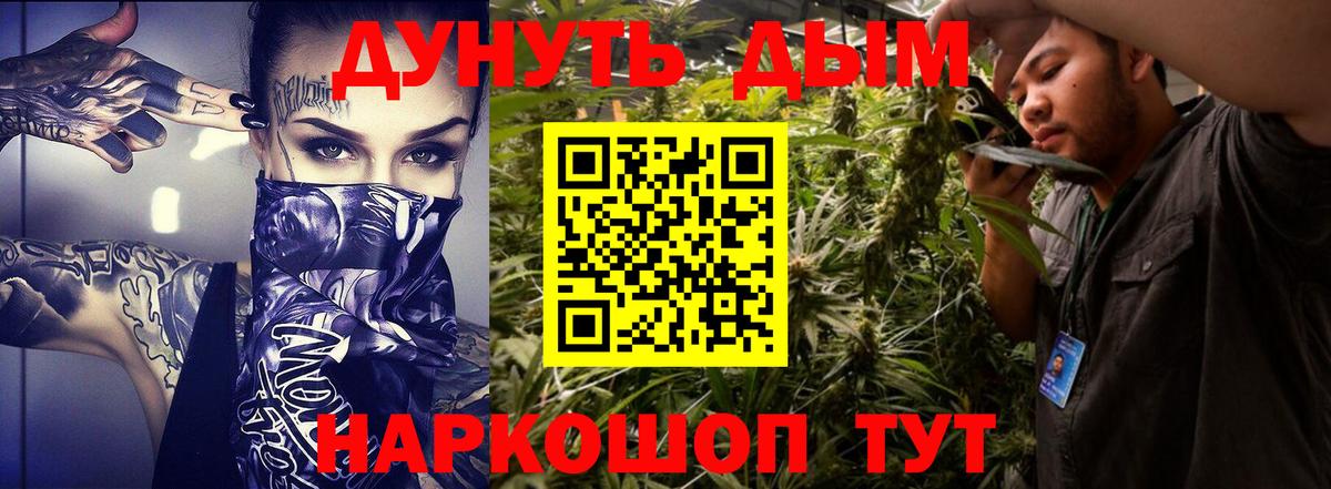 Каннабис семена  МАРИХУАНА конопля  Вход с VPN  Гурьевск  Каннабис LSD WEED  Бошки марихуана Bruce Banner 