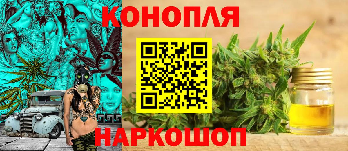 Бошки марихуана семена Гурьевск